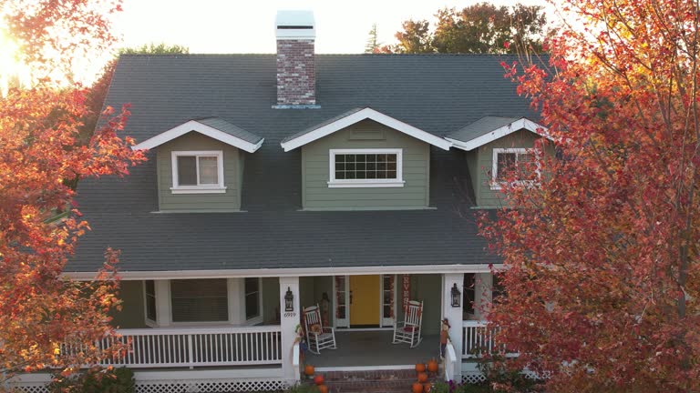 Best Roof Moss and Algae Removal  in Clyde, TX